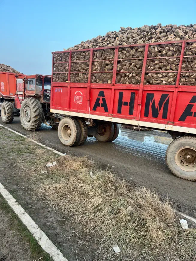 تراکتور ۳۹۹|خودرو سنگین|نقده, |دیوار