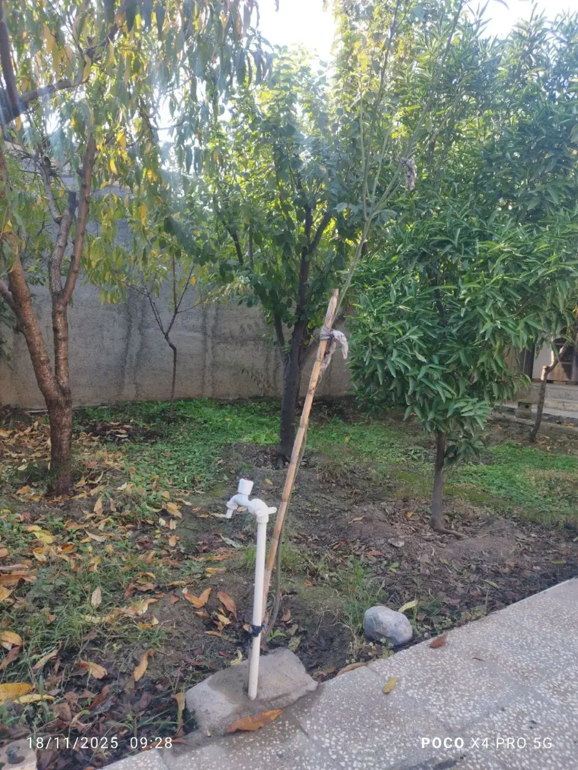 خانه دلند|فروش خانه و ویلا|دلند, |دیوار