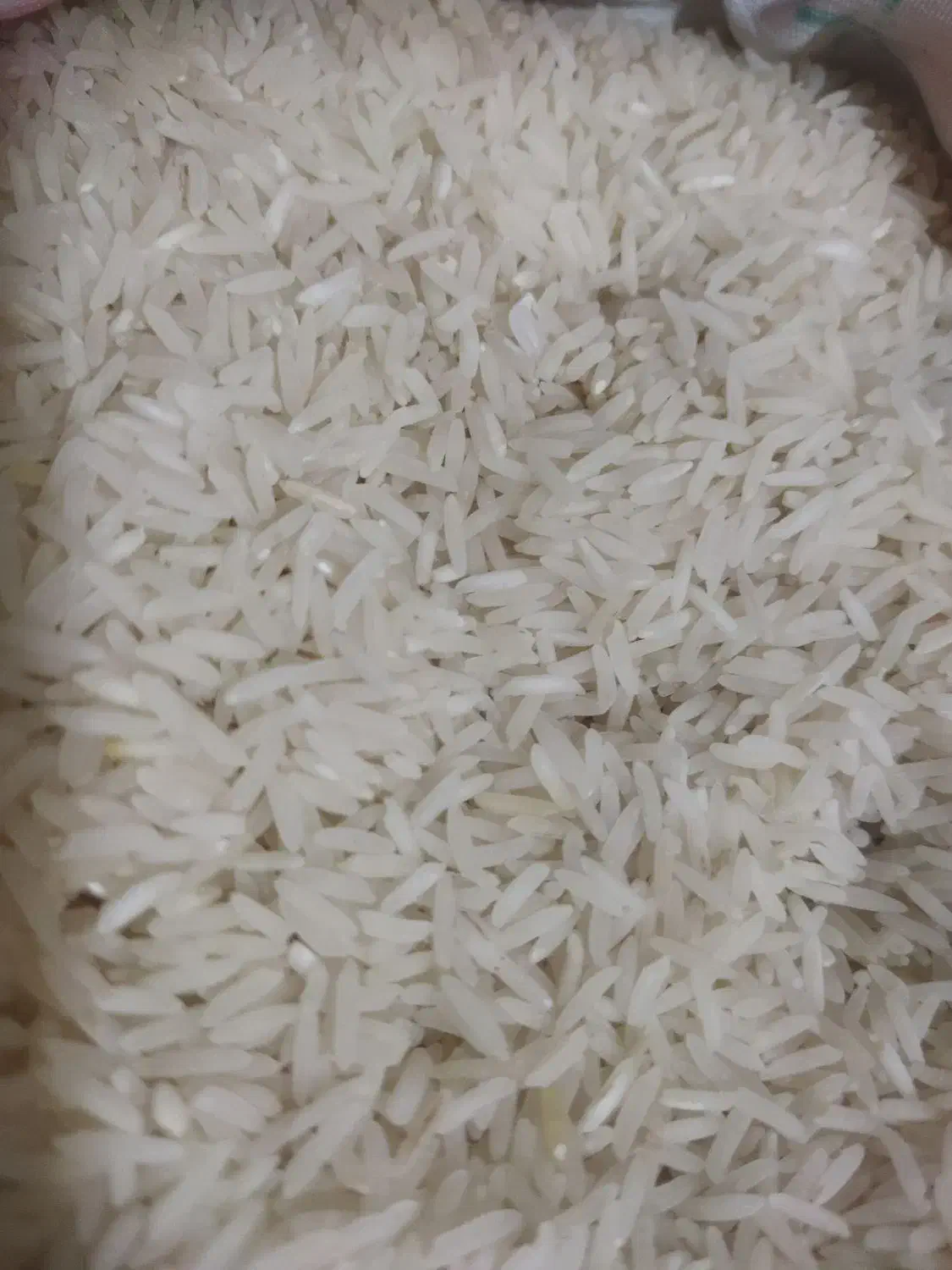 برنج هاشمی مروارید|خوردنی و آشامیدنی|ری, ملک‌آباد|دیوار