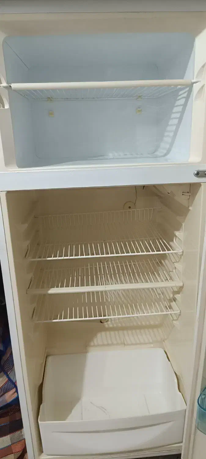 یخچال فیلور|یخچال و فریزر|اندیمشک, |دیوار