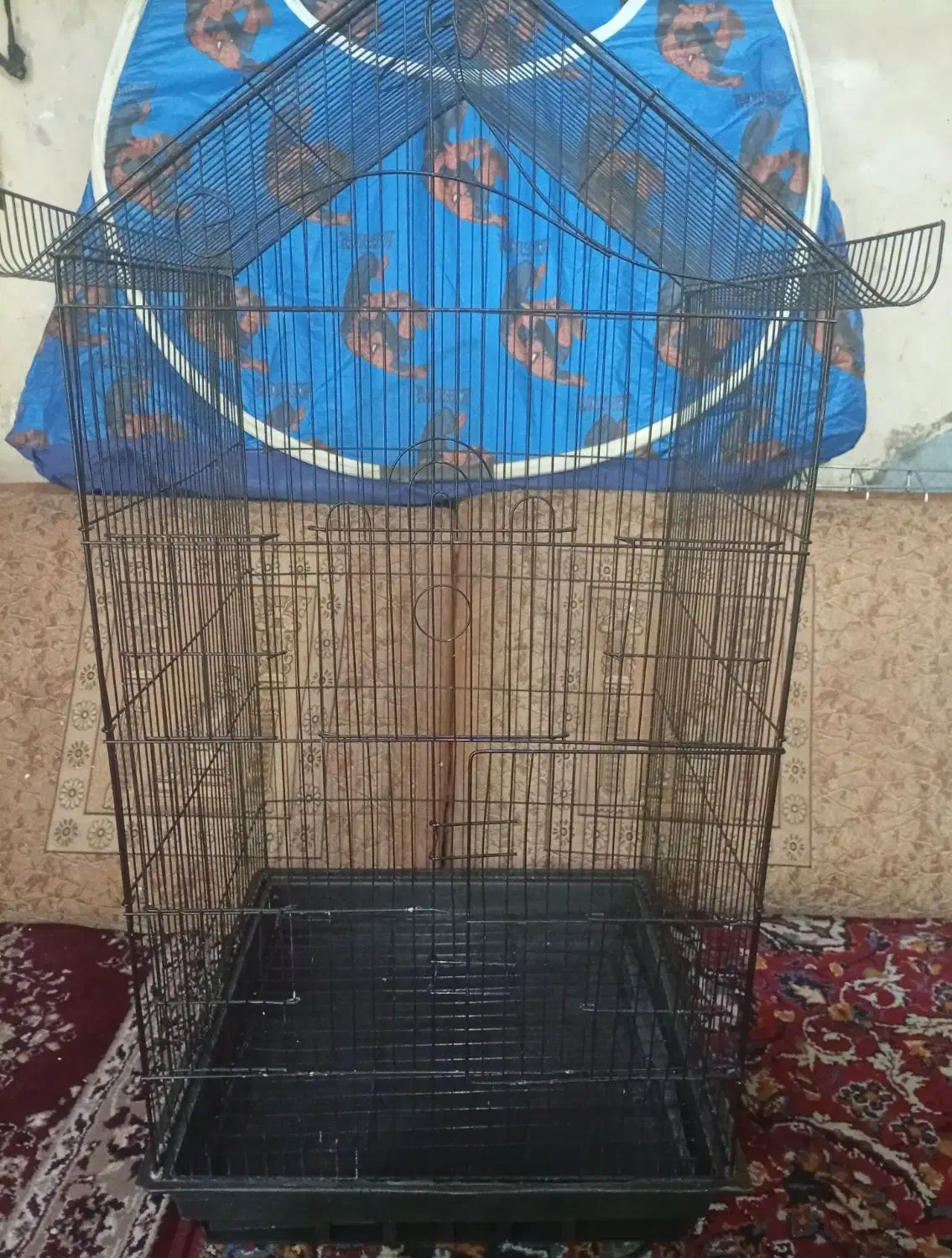 قفس|پرنده|اهواز, بیست متری شهرداری|دیوار