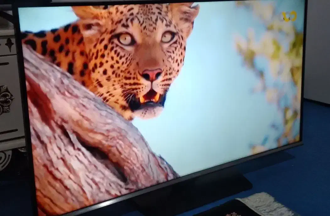 ۴۲ اینچ سامسونگ اصل کره|تلویزیون و پروژکتور|کوهدشت, |دیوار