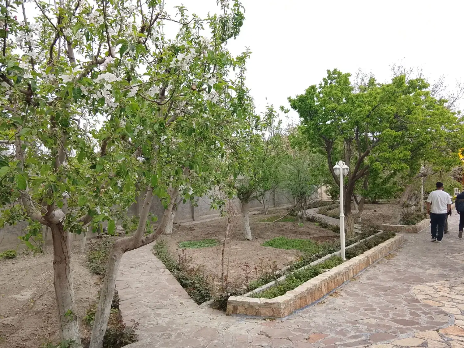 تصویر 16