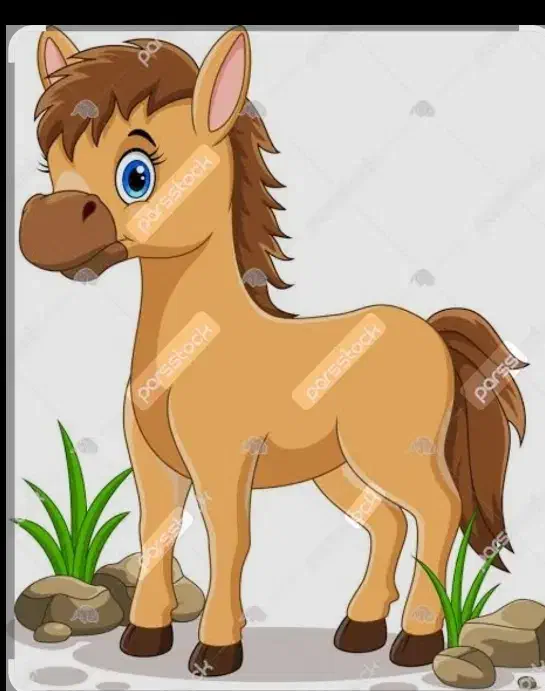 اسب|اسب و تجهیزات اسب‌سواری|تبریز, |دیوار