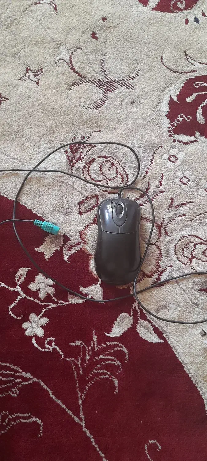 ماوس سالم|قطعات و لوازم جانبی رایانه|کرمانشاه, |دیوار