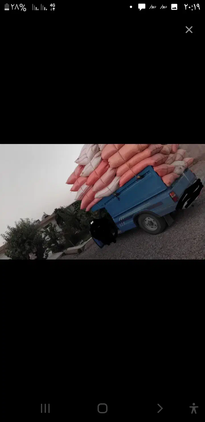 کاه گندم|لوازم جانبی حیوانات|نیشابور, مبارکه|دیوار