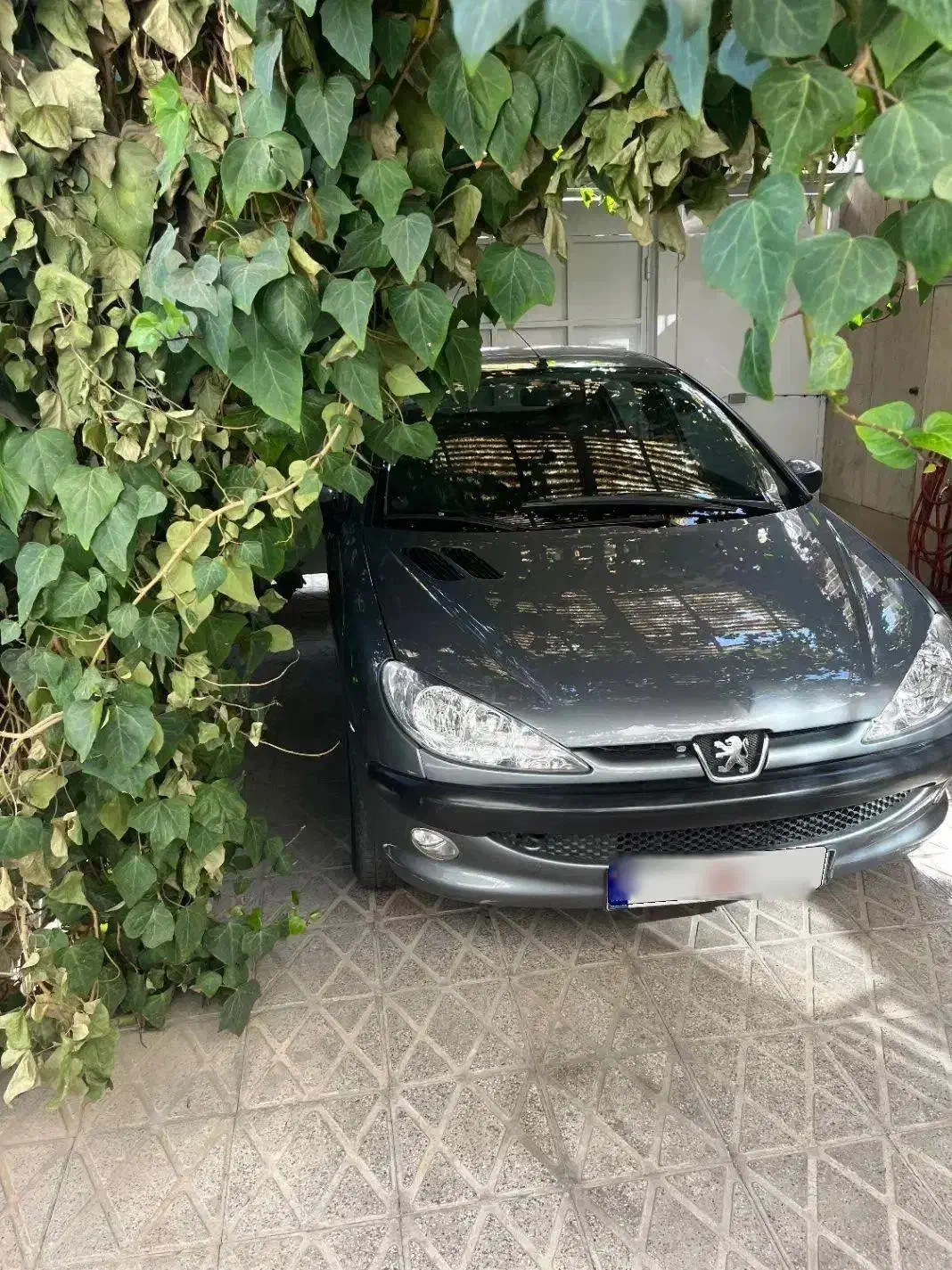 پژو ۲۰۶ صندوقدار V8 نوک مدادی ۹۸ بی رنگ|خودرو سواری و وانت|تهران, باغ فیض|دیوار