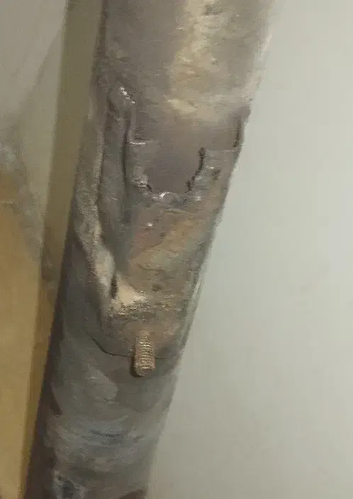 اگزوز موتور 125|قطعات یدکی و لوازم جانبی|قدس, شهر‌قدس|دیوار