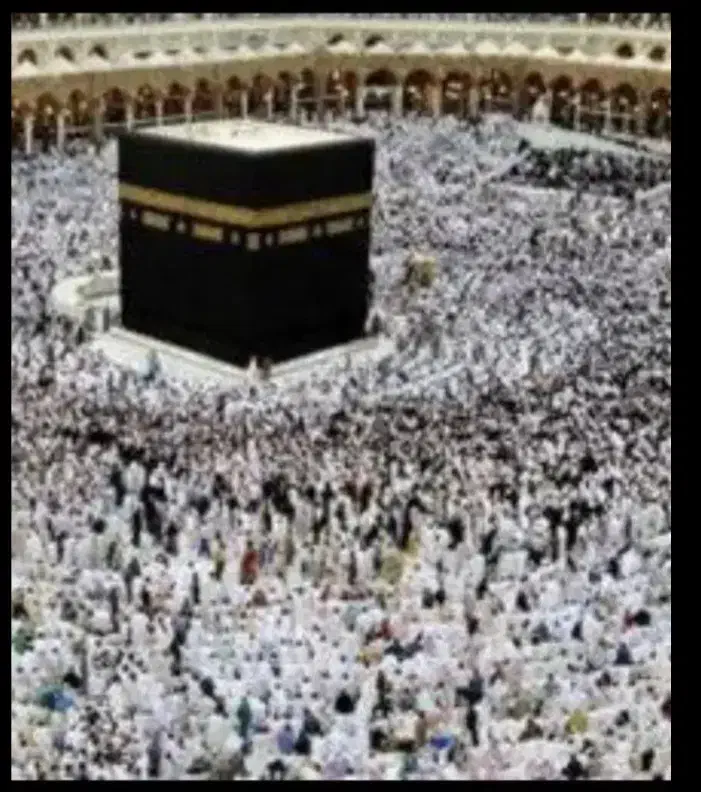 فیش حج واجب|تور و چارتر|بافق, |دیوار