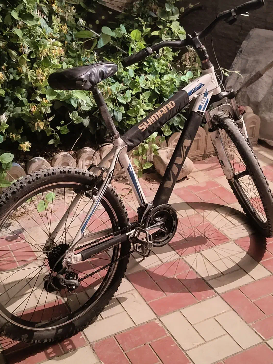 ویوا کانکورد|دوچرخه، اسکیت، اسکوتر|اسفراین, |دیوار