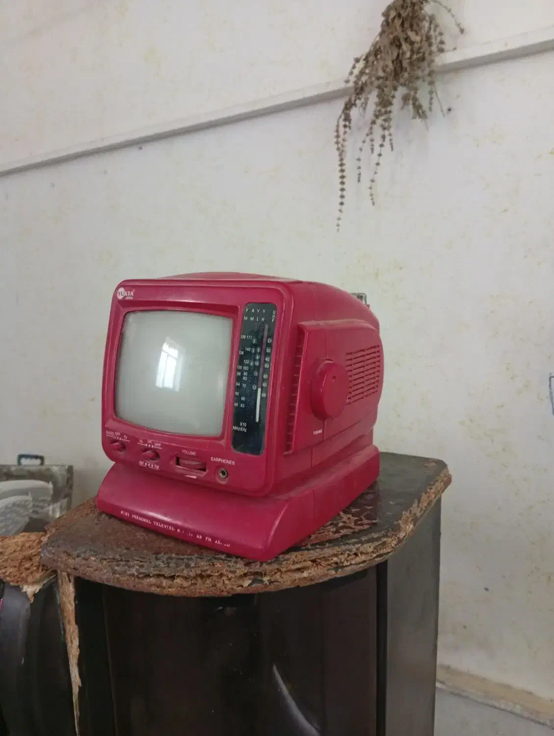 رادیو تلویزیون سالم  قدیمی کلکسیونی|کلکسیون اشیاء عتیقه|کازرون, |دیوار