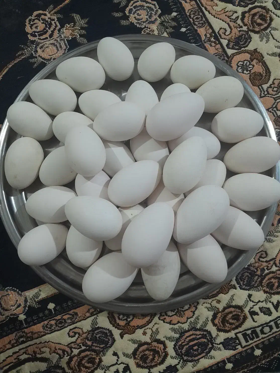 تخم قو|حیوانات مزرعه|خرمآباد, |دیوار