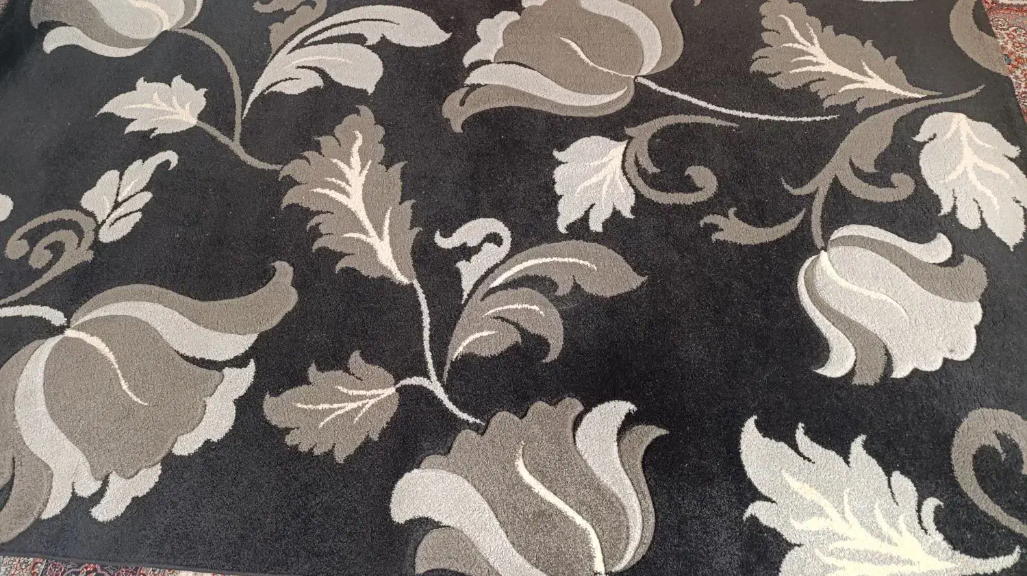 فرش ۶ متری|فرش|تربت‌حیدریه, بهزیستی|دیوار