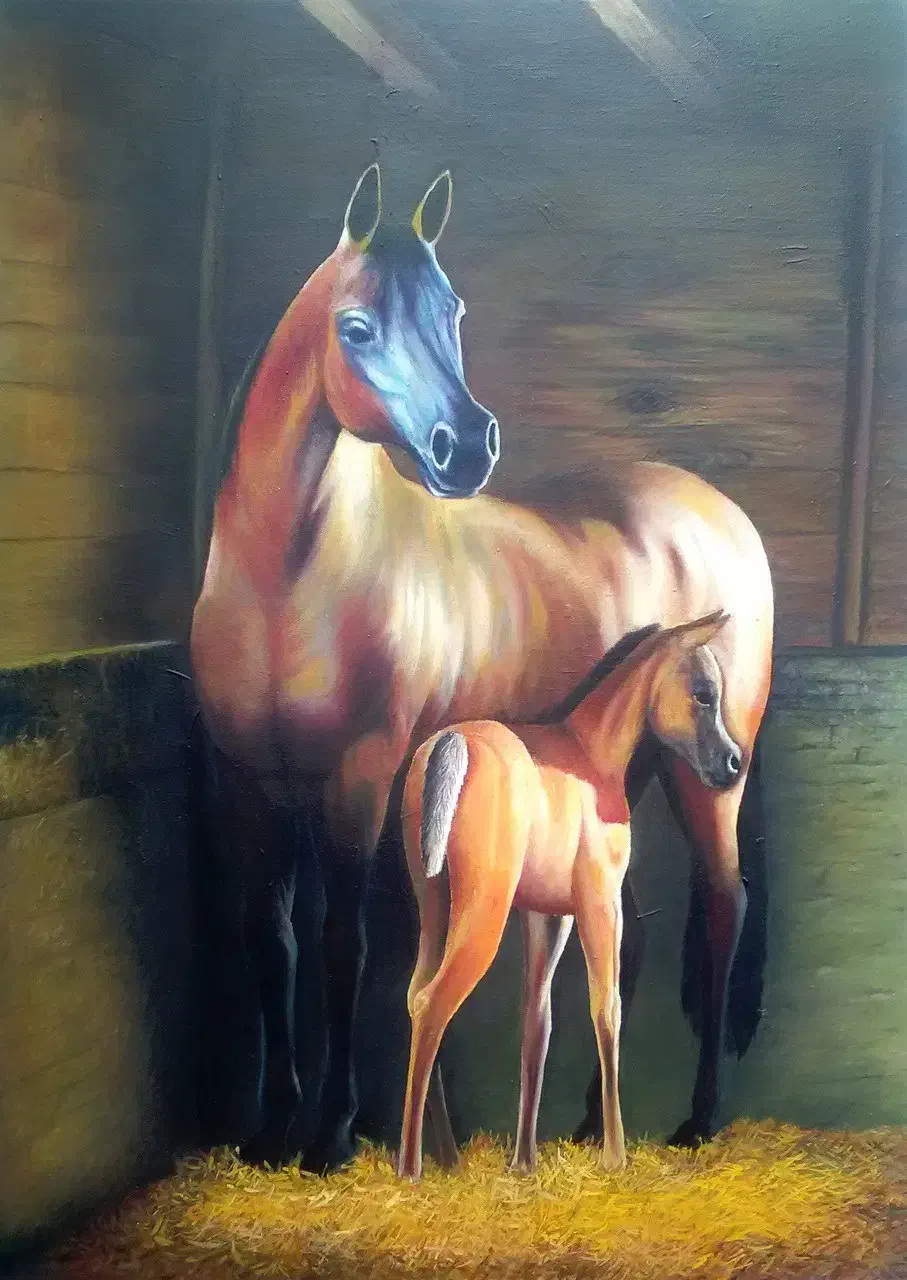 تابلوی نقاشی|تابلو، نقاشی، عکس|شیراز, باهنر|دیوار