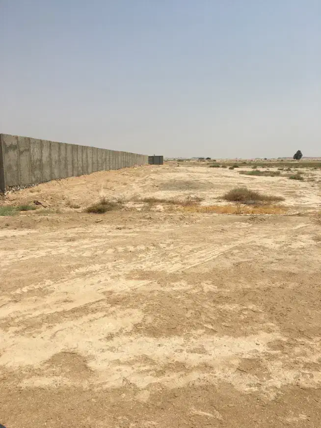 زمین خونه باغ|فروش زمین و ملک کلنگی|بندر گناوه, |دیوار