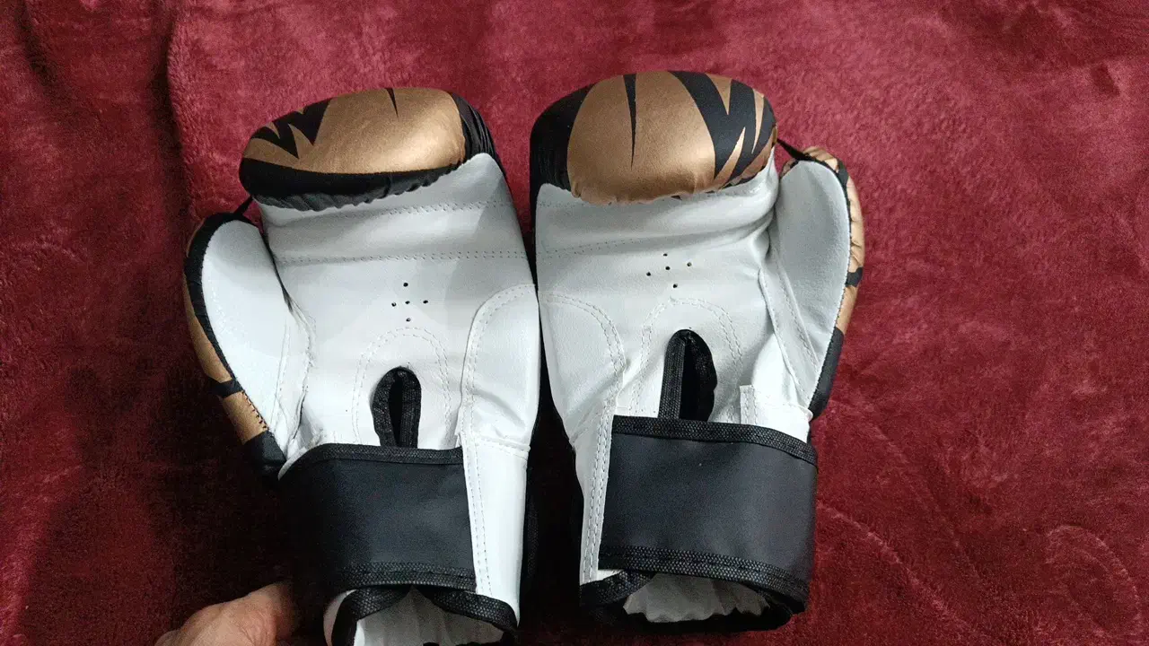 دستکش بوکس نو نو|تجهیزات ورزشی|محمدیه-قزوین, |دیوار