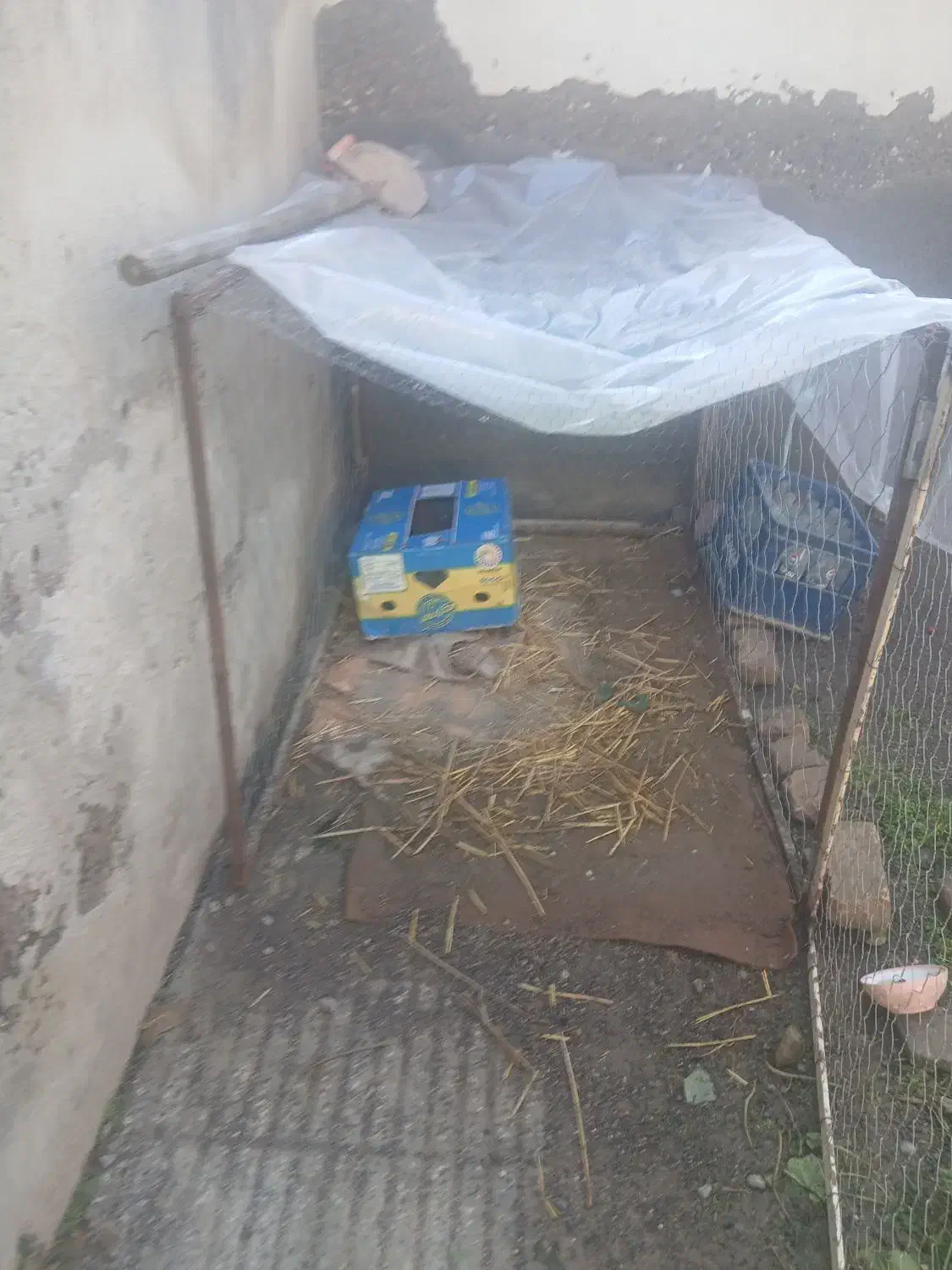 قفسه|لوازم جانبی حیوانات|آق قلا, |دیوار