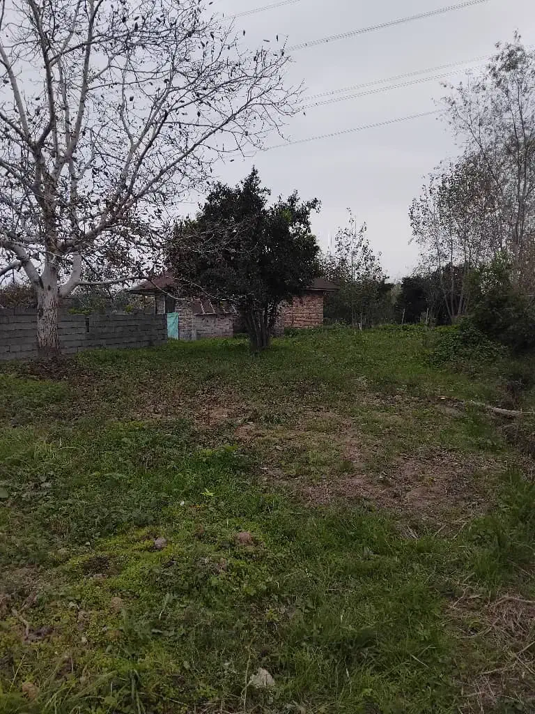 زمین مسکونی دارای نامه از بنیاد مسکن|فروش زمین و ملک کلنگی|سنگر, |دیوار