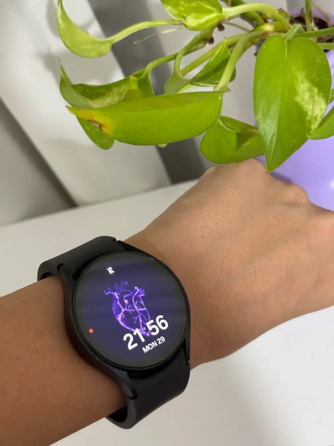 گلکسی واچ ۶ -  Galaxy Watch6 40mm|ساعت|رشت, معلم|دیوار