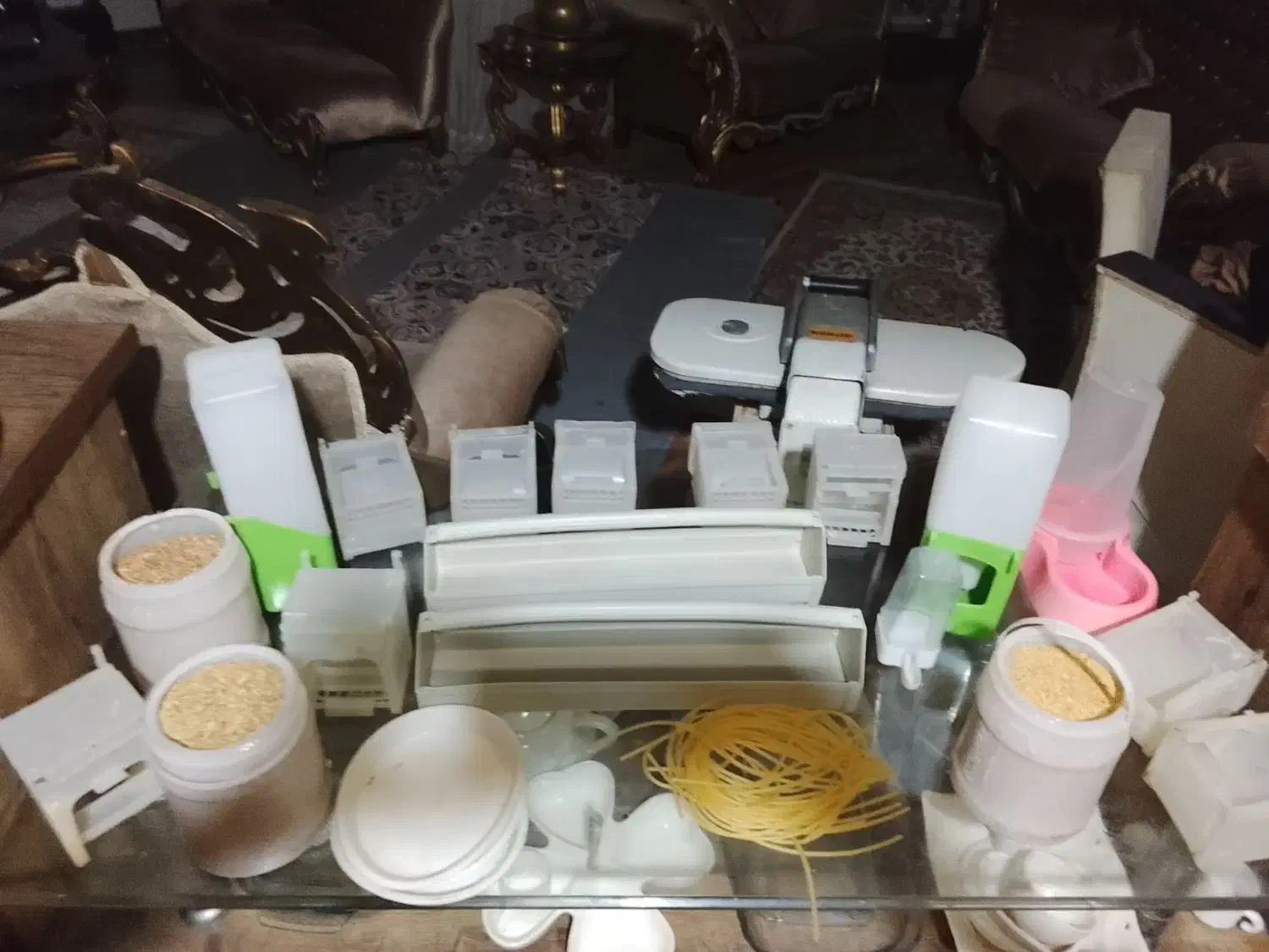 لوازم ضروری پرنده همه چیز موجوده حتی اسباببازی|لوازم جانبی حیوانات|مشهد, دانشجو|دیوار