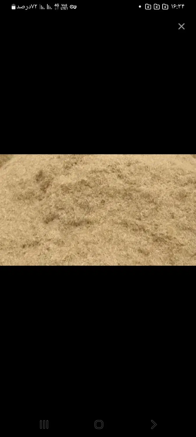 کاه خار شتری علف شوره. پیچک پخل ابی|عمده‌فروشی|تربت جام, میان جام|دیوار