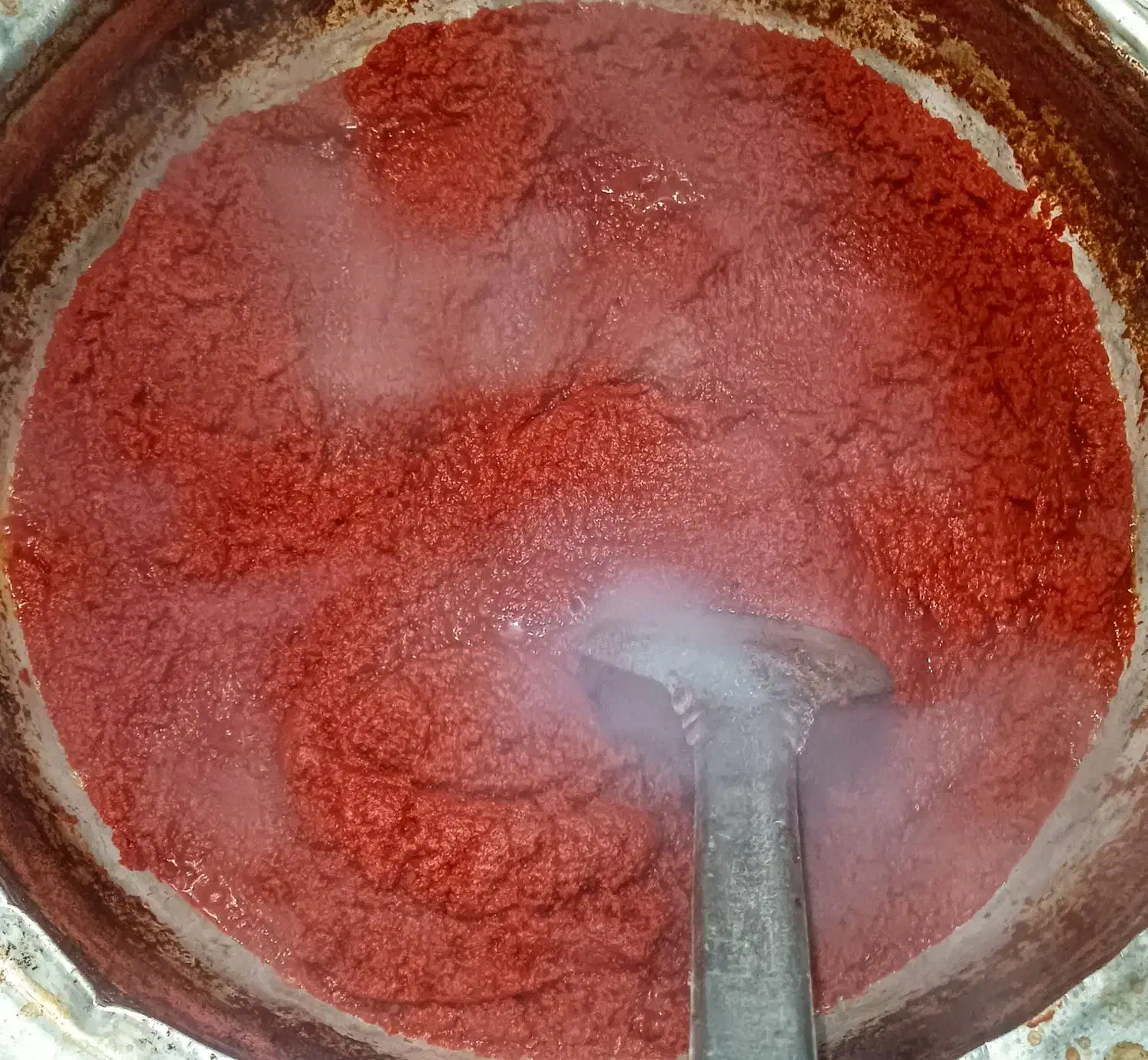 رب خانگی|خوردنی و آشامیدنی|تاکستان, |دیوار