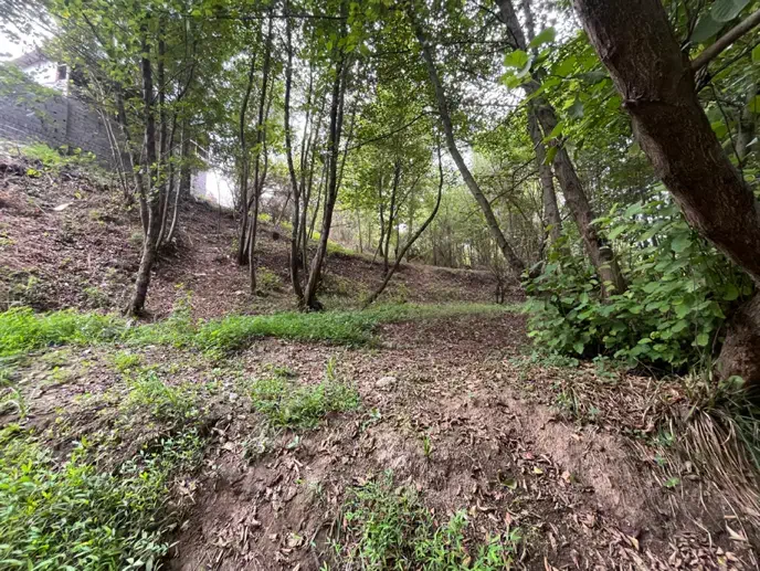 رهن خانه ویلایی ۱۰۰۰ متری مناسب برای کافه رستوران|اجارهٔ خانه و ویلا|لاهیجان, بوجایه|دیوار