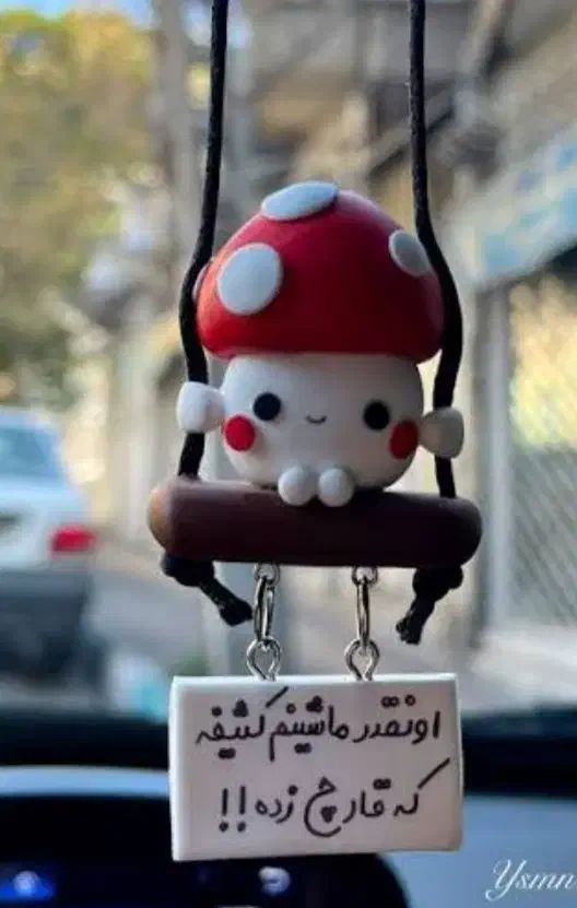 قارچ گمشده|اشیا|شوشتر, |دیوار