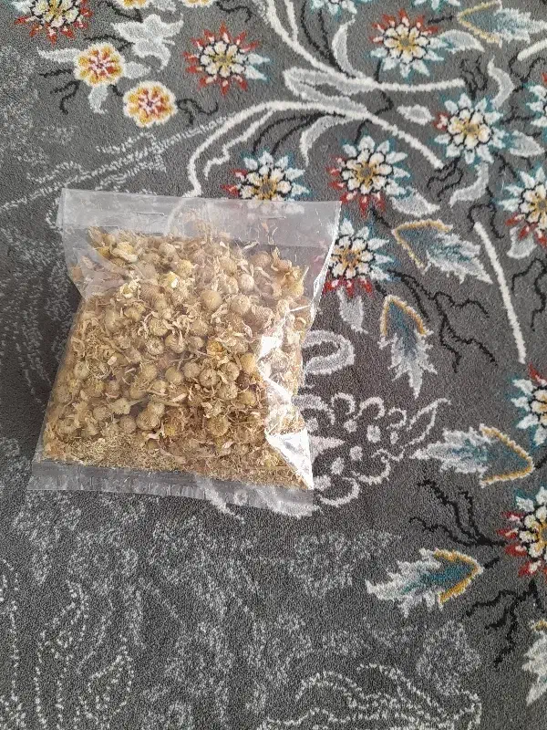 گل محمدی|گل و گیاه طبیعی|صحنه, |دیوار