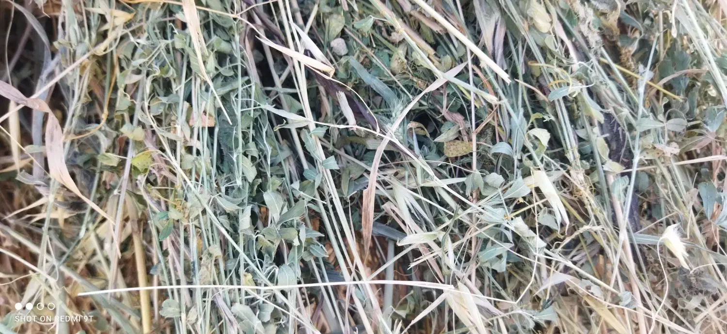 یونجه  خروار|خدمات باغبانی و درختکاری|دره رود, |دیوار