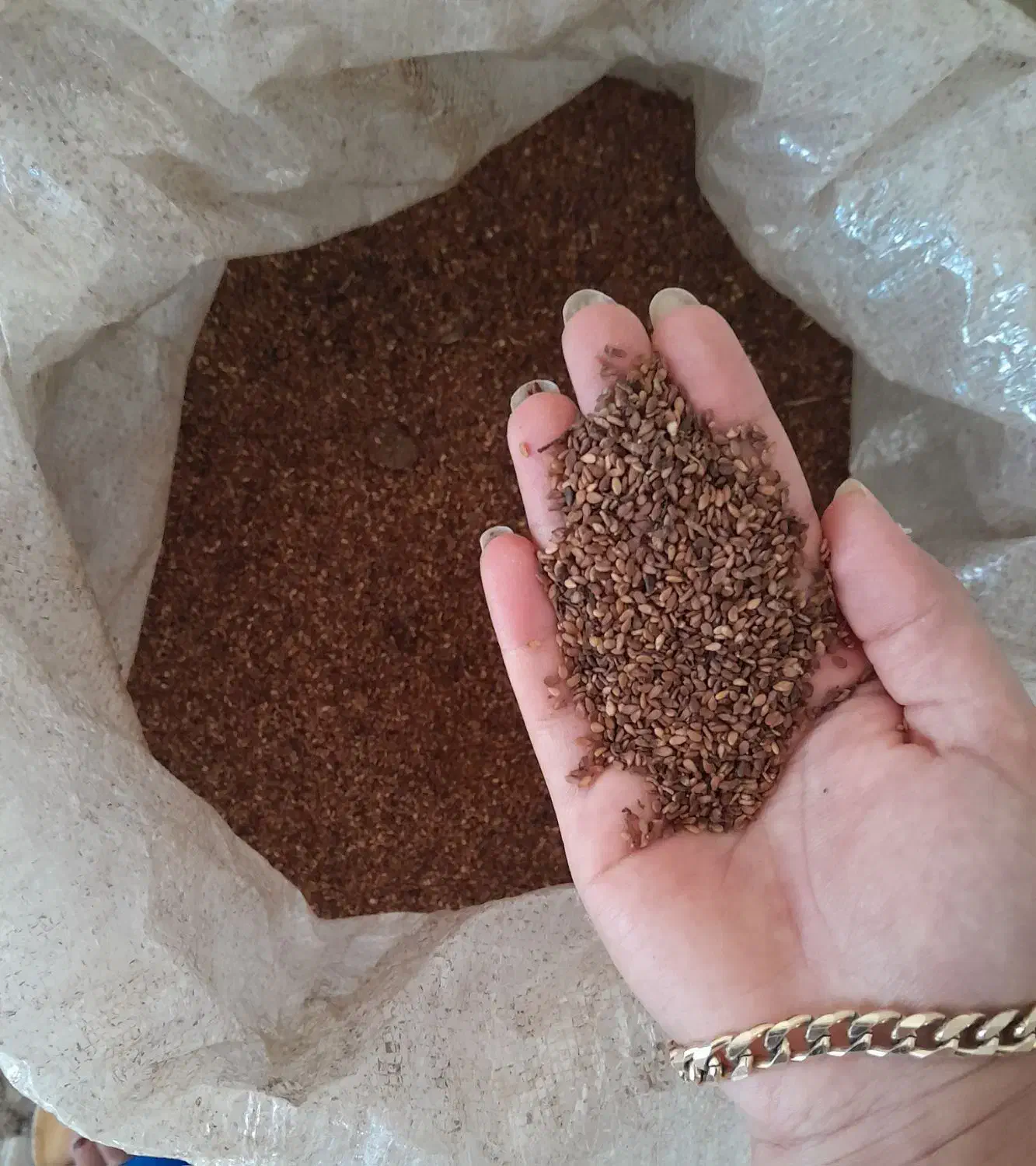 فروش فوری کنجد|خوردنی و آشامیدنی|مینودشت, |دیوار