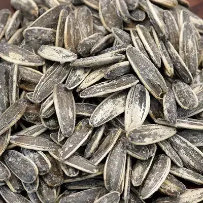 تخمه آفتابگردان عمده و خرده در طعم های مختلف|خوردنی و آشامیدنی|اسلام‌شهر, شهرک مهدیه|دیوار