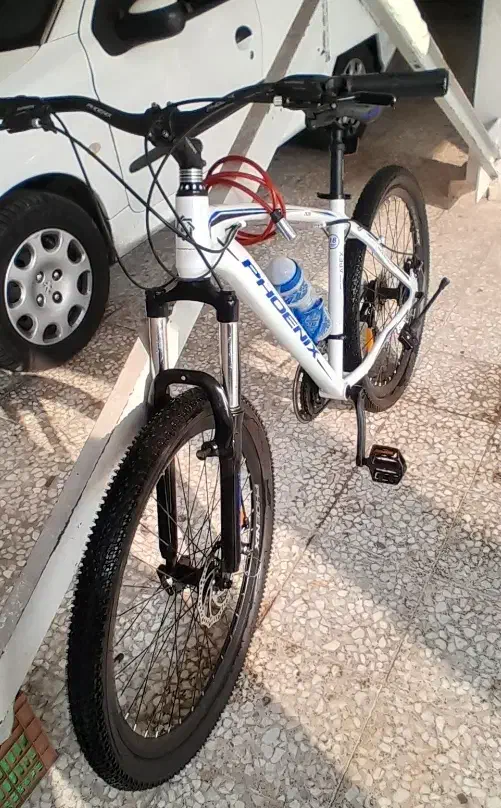 دوچرخه سایز ۲۷.۵ فونیکس|دوچرخه، اسکیت، اسکوتر|رشت, استقامت ۲|دیوار