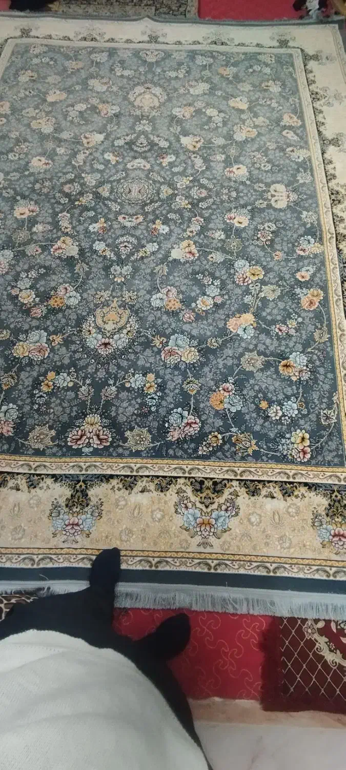 دو تخته فرش ۱۲متری|فرش|مشهد, امیرآباد|دیوار