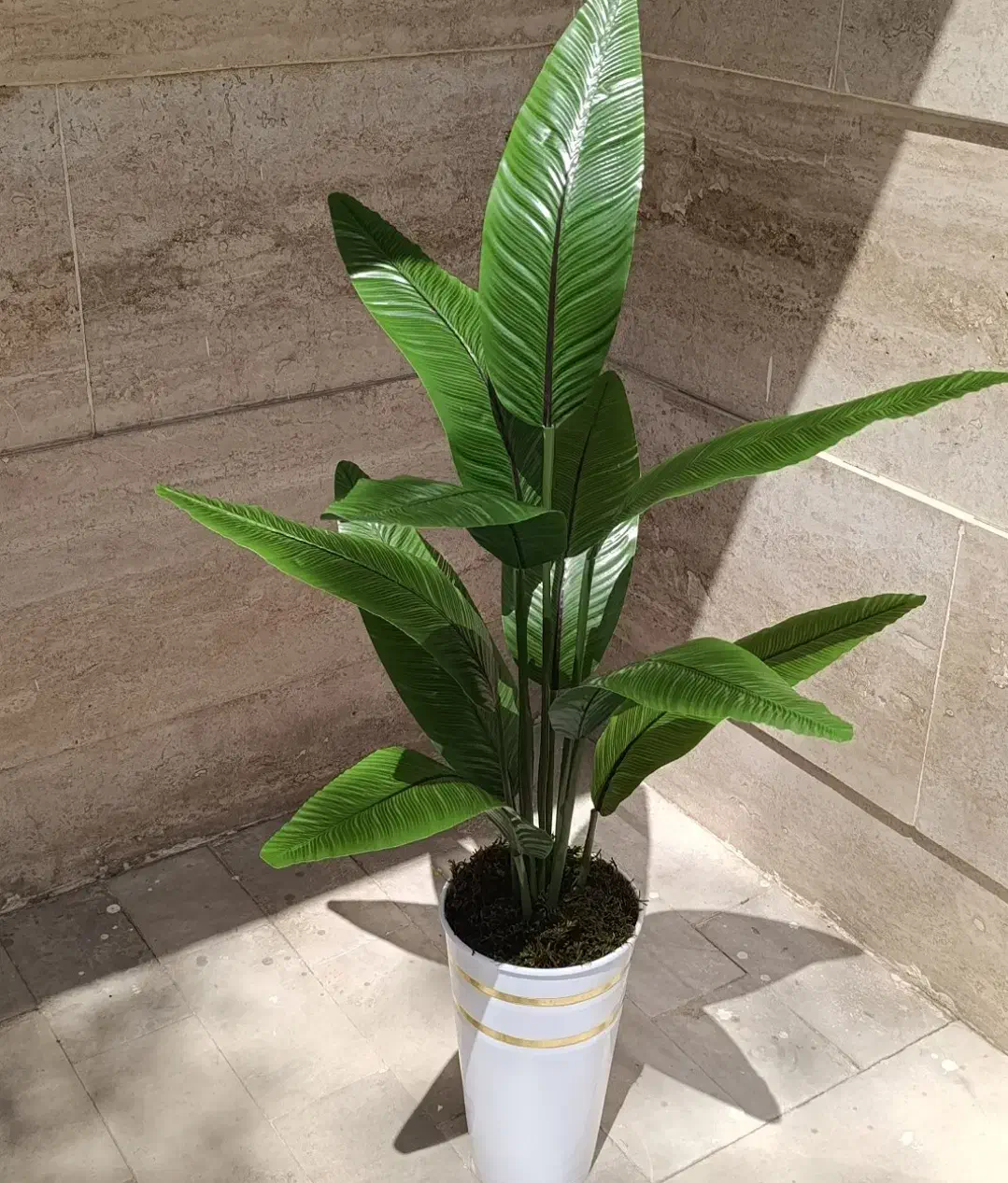 گل ودرختچه|گل مصنوعی|تهران, عباسی|دیوار