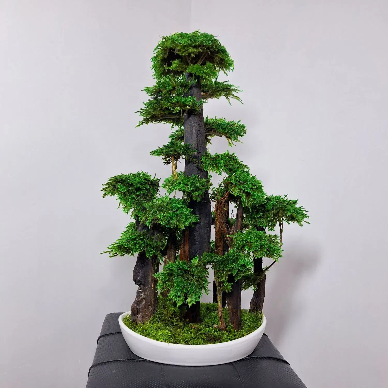 بونسای و درخت جاودان با خزه و گل طبیعی طرح پاییزی|گل مصنوعی|تهران, بهارستان|دیوار