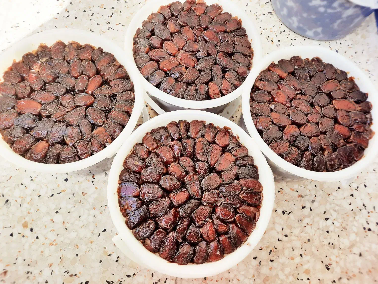 خرمای خاصی|خوردنی و آشامیدنی|بهبهان, |دیوار