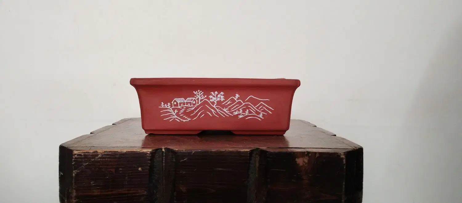 تعدادی گلدان اصلی بونسای،بن سای،بن سای|گل و گیاه طبیعی|کرج, شهرک امام رضا (ع)|دیوار