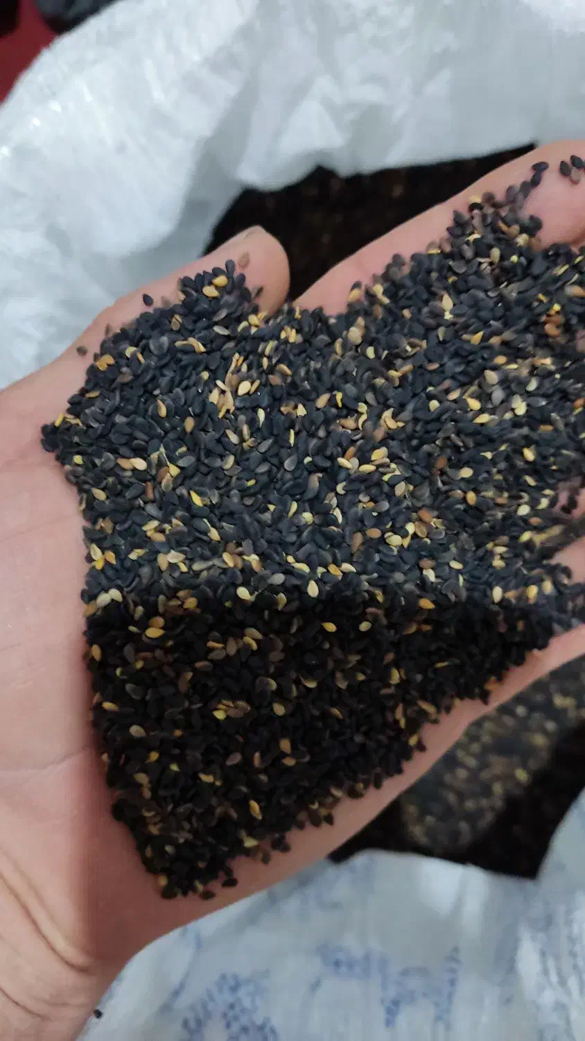 کنجد|خوردنی و آشامیدنی|خدا آفرین, |دیوار