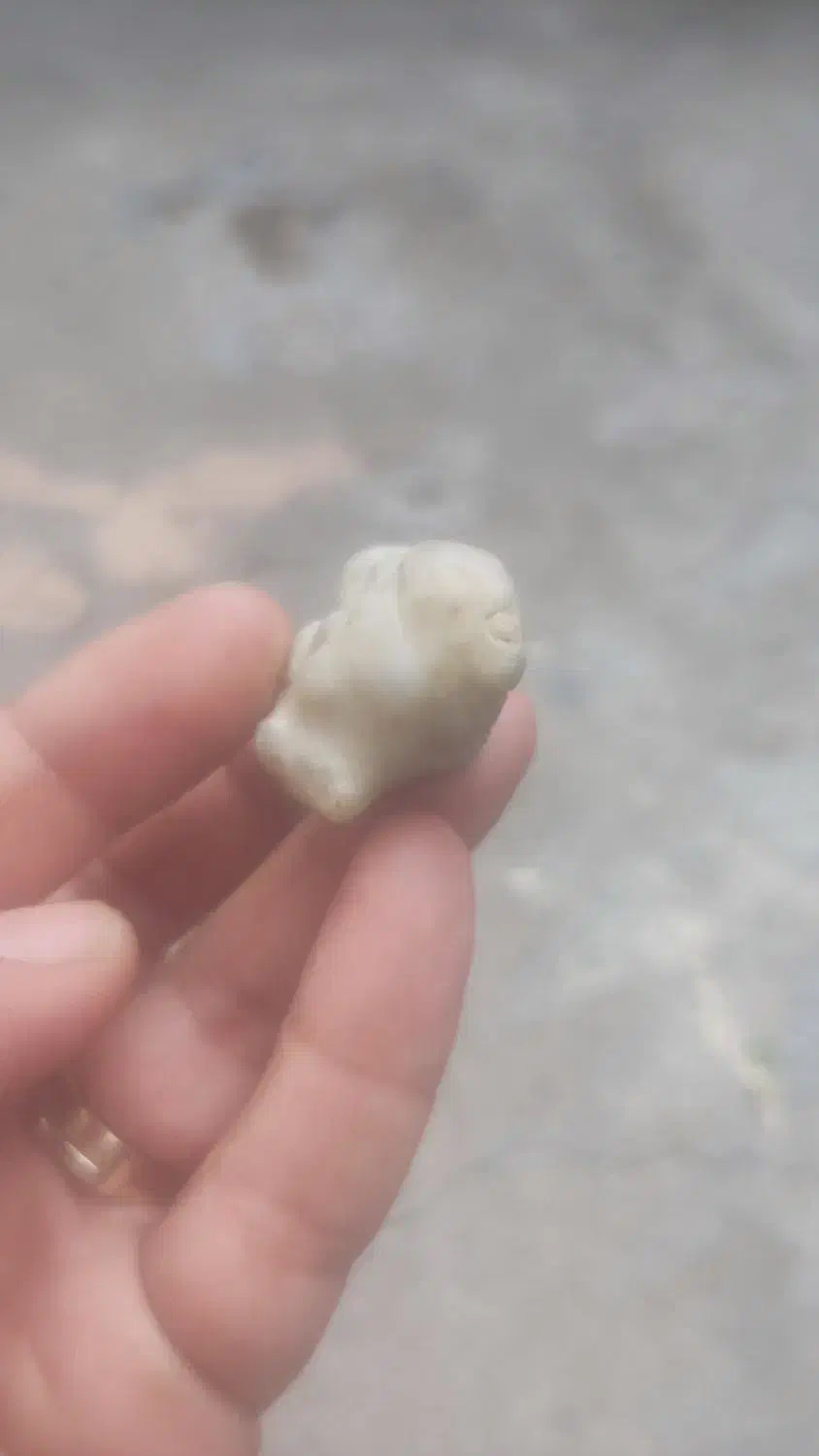 سنگ قیمتی|کلکسیون اشیاء عتیقه|شوش, |دیوار