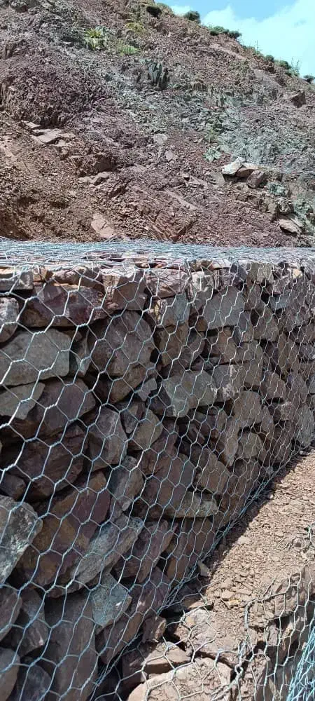 سنگ چینی و محوطه سازی|خدمات پیشه و مهارت|چالوس, |دیوار