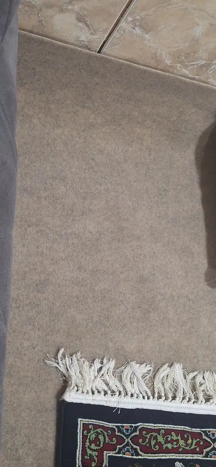 موکت مخمل|موکت|مرودشت, استادیوم‎|دیوار