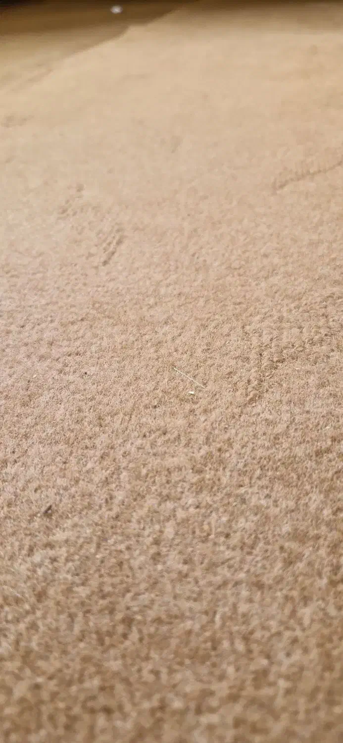 موکت|موکت|جیرفت, |دیوار