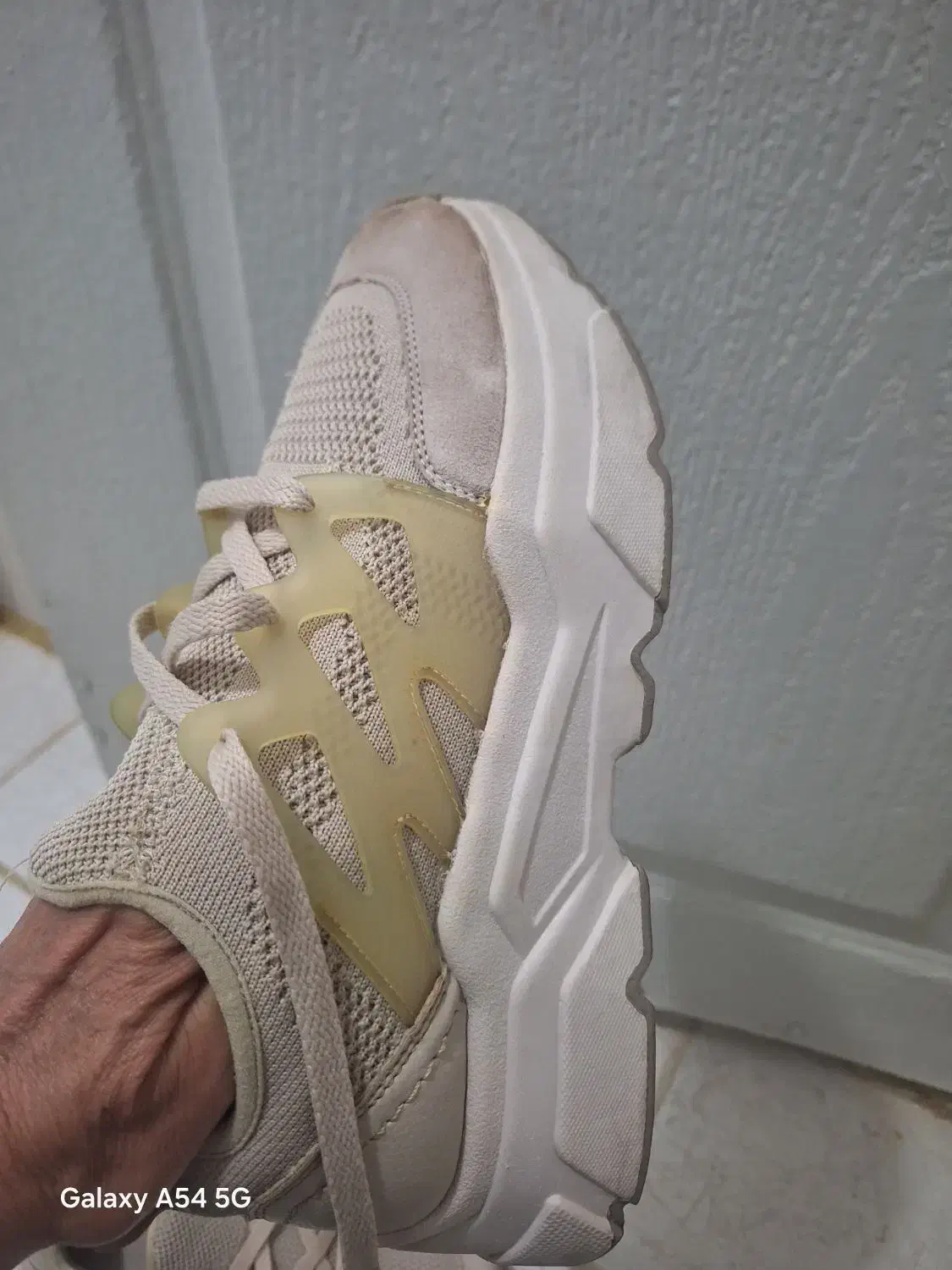 کیف و کفش .|کیف، کفش، کمربند|پرند, فاز ۶|دیوار