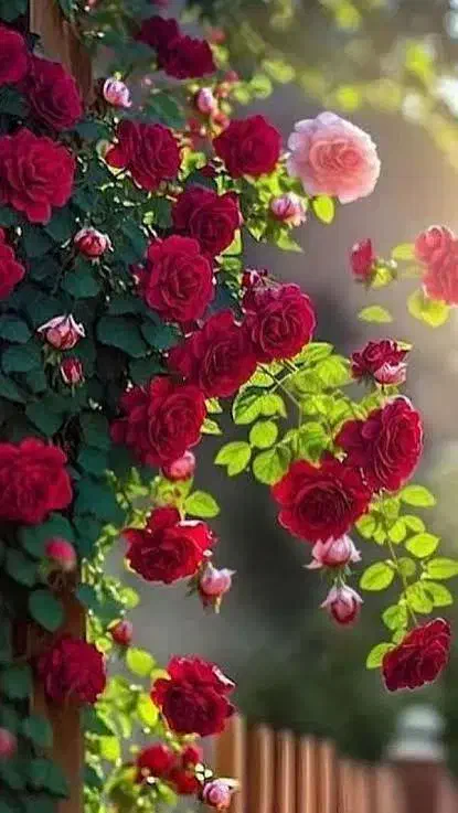 مشاغل آرایشگری|استخدام درمانی، زیبایی، بهداشتی|بم, |دیوار