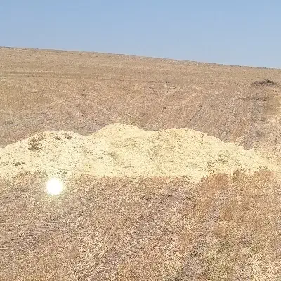 کاه سفید نرم|لوازم جانبی حیوانات|قیدار, |دیوار