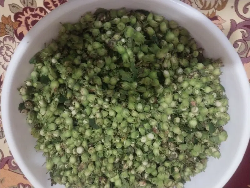 فندوق|خوردنی و آشامیدنی|نمین, |دیوار