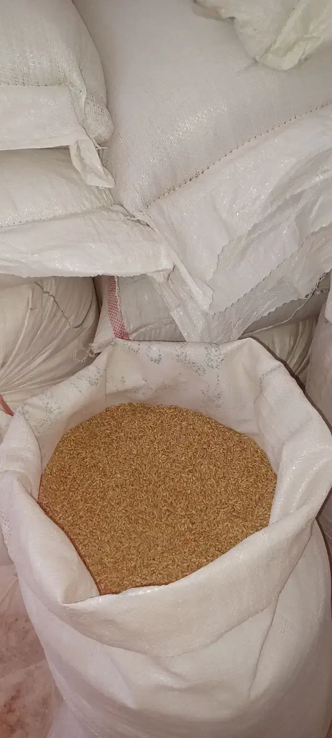 گندم بذر|لوازم جانبی حیوانات|رامشیر, |دیوار