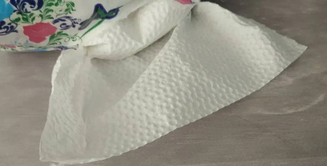 دستمال کاغذی|مواد شوینده و دستمال کاغذی|زاهدان, |دیوار