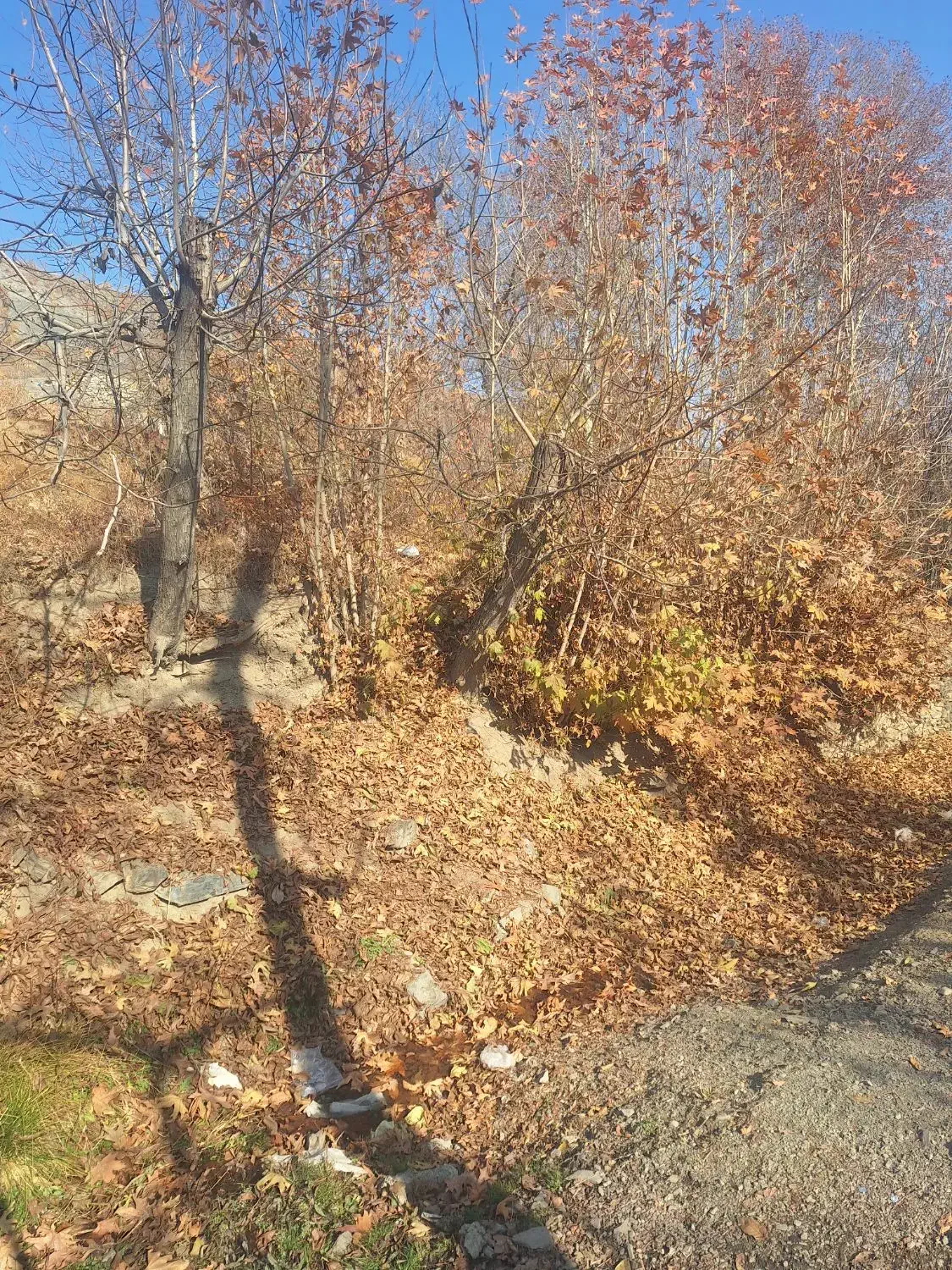 فروش باغ ویلا.گل مکان اسجیل .سلمان اباد.|فروش خانه و ویلا|گلمکان, |دیوار